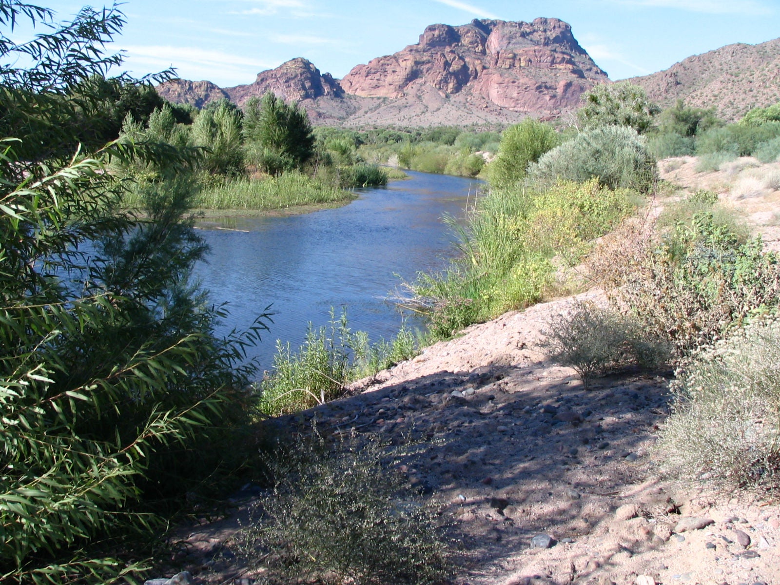 Verde River with water flowing surrounded by desert landscape