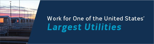 Graphic - Largest utilities